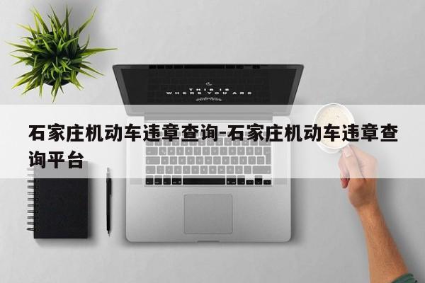 石家庄机动车违章查询-石家庄机动车违章查询平台