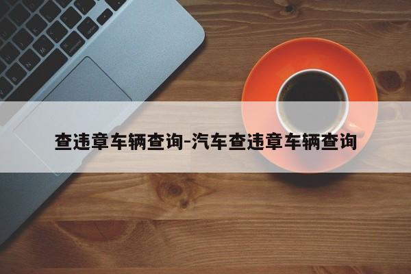 查违章车辆查询-汽车查违章车辆查询