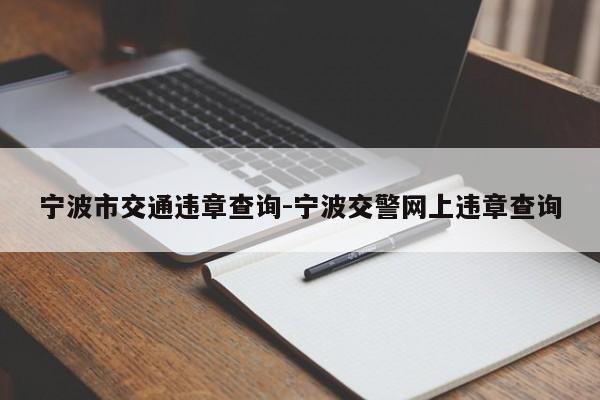 宁波市交通违章查询-宁波交警网上违章查询