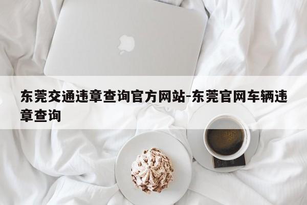 东莞交通违章查询官方网站-东莞官网车辆违章查询