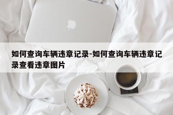 如何查询车辆违章记录-如何查询车辆违章记录查看违章图片