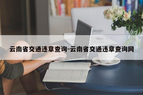 云南省交通违章查询-云南省交通违章查询网
