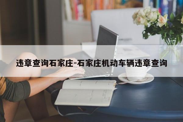 违章查询石家庄-石家庄机动车辆违章查询