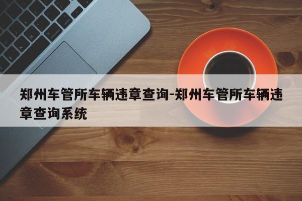 郑州车管所车辆违章查询-郑州车管所车辆违章查询系统
