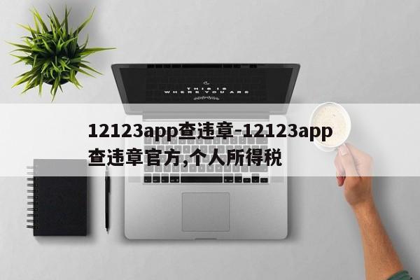12123app查违章-12123app查违章官方,个人所得税