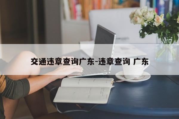 交通违章查询广东-违章查询 广东