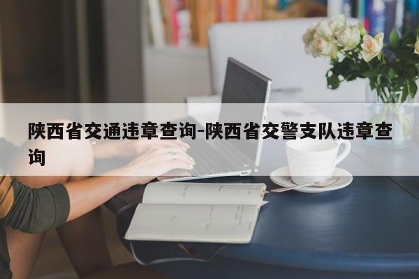 陕西省交通违章查询-陕西省交警支队违章查询