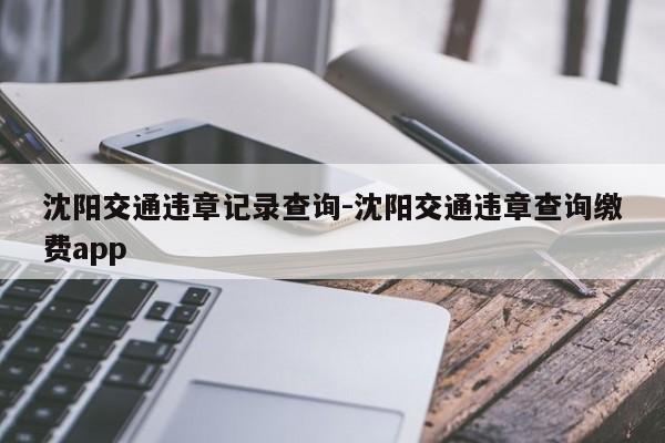 沈阳交通违章记录查询-沈阳交通违章查询缴费app