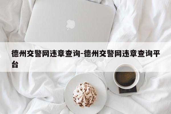 德州交警网违章查询-德州交警网违章查询平台