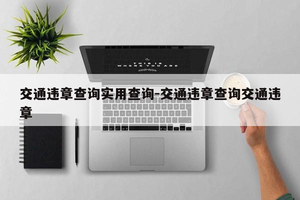 交通违章查询实用查询-交通违章查询交通违章