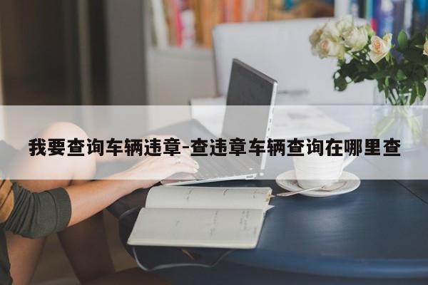 我要查询车辆违章-查违章车辆查询在哪里查