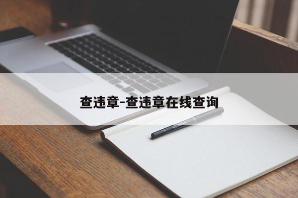 查违章-查违章在线查询