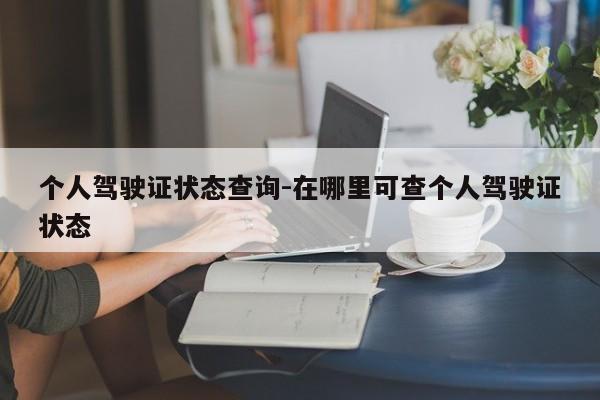 个人驾驶证状态查询-在哪里可查个人驾驶证状态