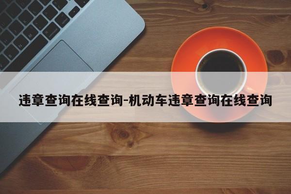 违章查询在线查询-机动车违章查询在线查询