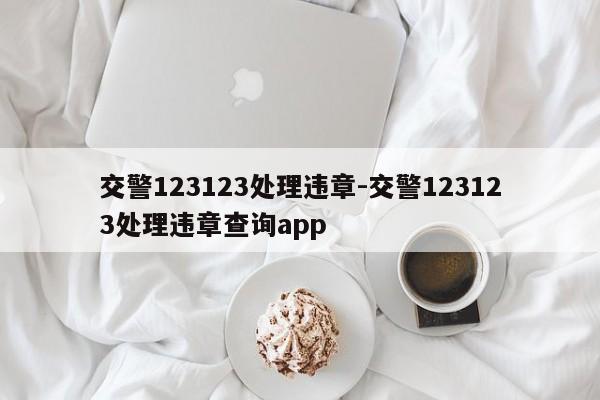 交警123123处理违章-交警123123处理违章查询app