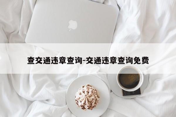 查交通违章查询-交通违章查询免费