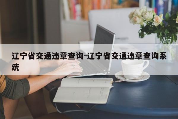 辽宁省交通违章查询-辽宁省交通违章查询系统