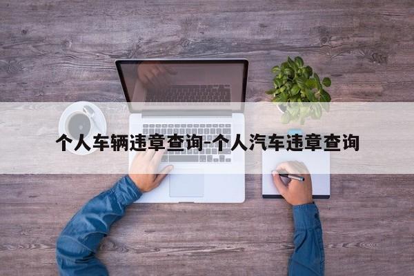 个人车辆违章查询-个人汽车违章查询