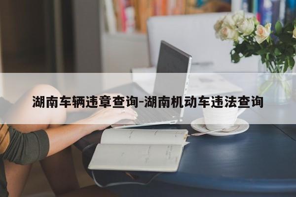湖南车辆违章查询-湖南机动车违法查询