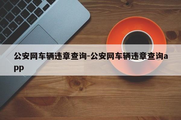 公安网车辆违章查询-公安网车辆违章查询app
