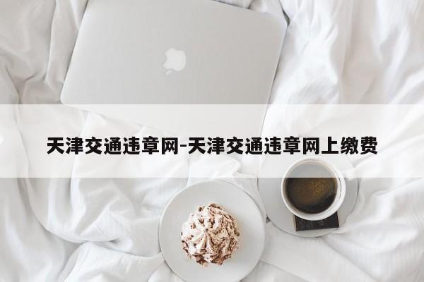天津交通违章网-天津交通违章网上缴费