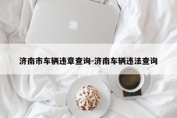 济南市车辆违章查询-济南车辆违法查询
