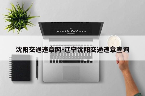 沈阳交通违章网-辽宁沈阳交通违章查询