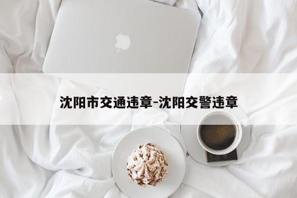 沈阳市交通违章-沈阳交警违章