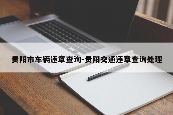贵阳市车辆违章查询-贵阳交通违章查询处理