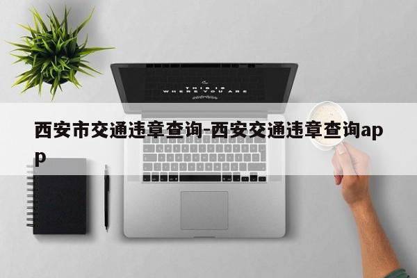 西安市交通违章查询-西安交通违章查询app