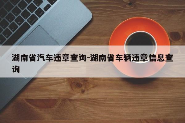 湖南省汽车违章查询-湖南省车辆违章信息查询