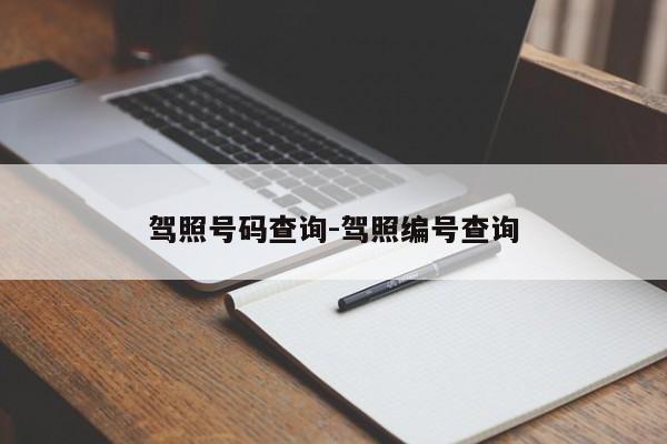 驾照号码查询-驾照编号查询