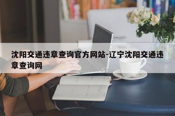 沈阳交通违章查询官方网站-辽宁沈阳交通违章查询网