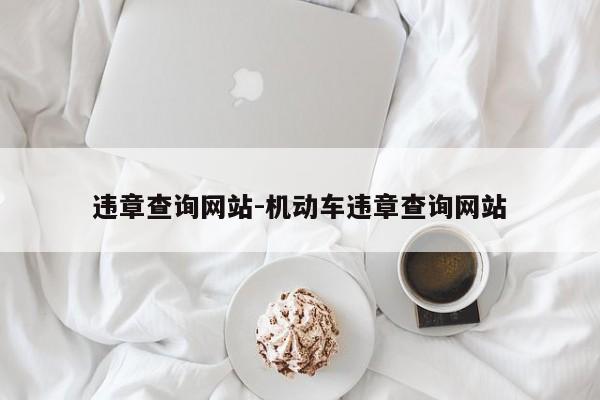 违章查询网站-机动车违章查询网站