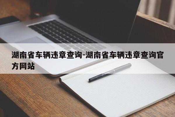 湖南省车辆违章查询-湖南省车辆违章查询官方网站