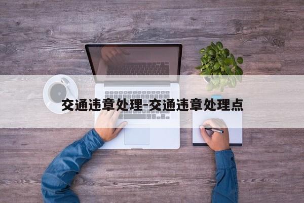 交通违章处理-交通违章处理点