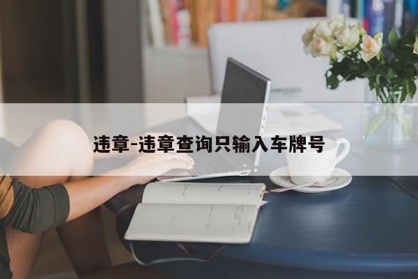 违章-违章查询只输入车牌号