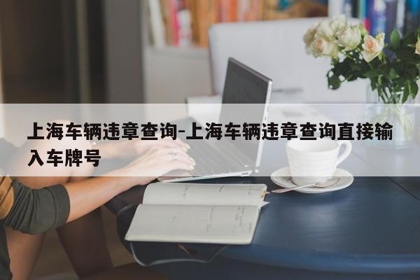 上海车辆违章查询-上海车辆违章查询直接输入车牌号