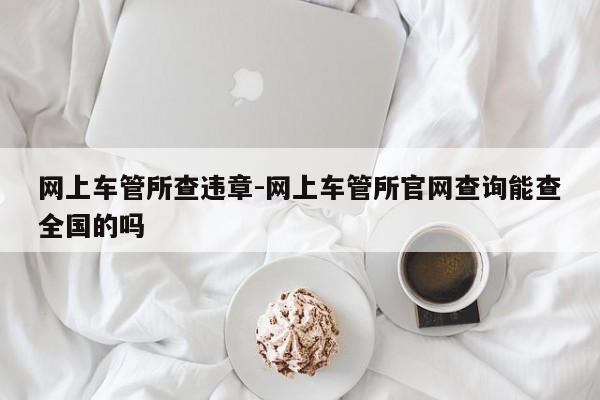 网上车管所查违章-网上车管所官网查询能查全国的吗
