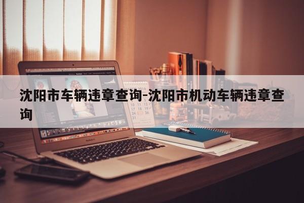 沈阳市车辆违章查询-沈阳市机动车辆违章查询
