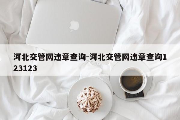 河北交管网违章查询-河北交管网违章查询123123