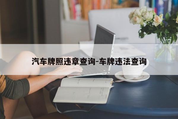 汽车牌照违章查询-车牌违法查询