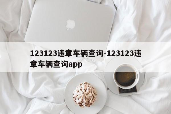 123123违章车辆查询-123123违章车辆查询app