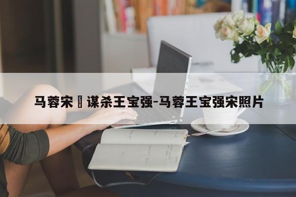 马蓉宋喆谋杀王宝强-马蓉王宝强宋照片