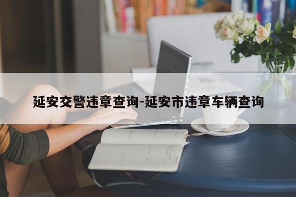 延安交警违章查询-延安市违章车辆查询