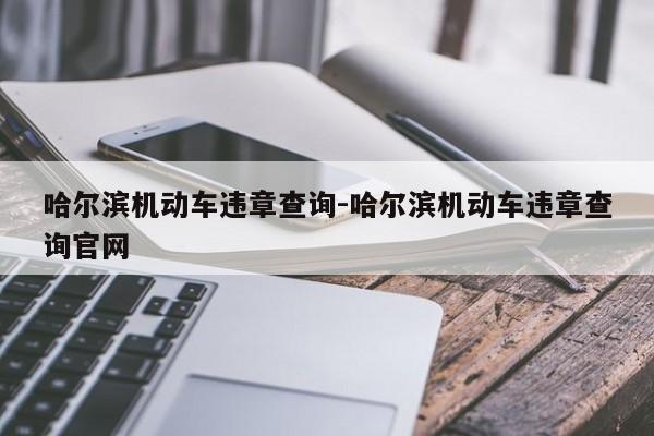 哈尔滨机动车违章查询-哈尔滨机动车违章查询官网