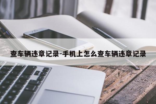 查车辆违章记录-手机上怎么查车辆违章记录