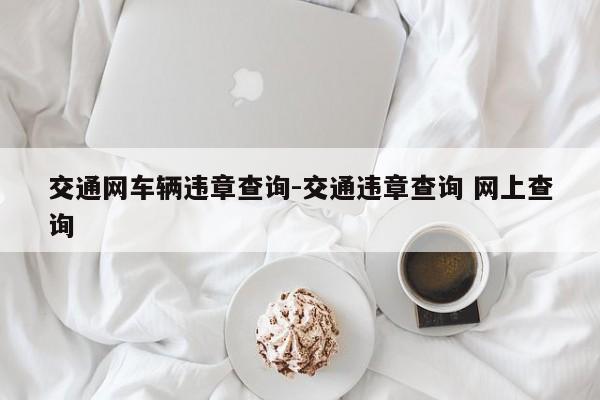 交通网车辆违章查询-交通违章查询 网上查询