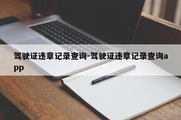 驾驶证违章记录查询-驾驶证违章记录查询app