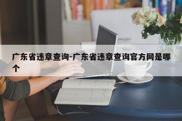 广东省违章查询-广东省违章查询官方网是哪个
